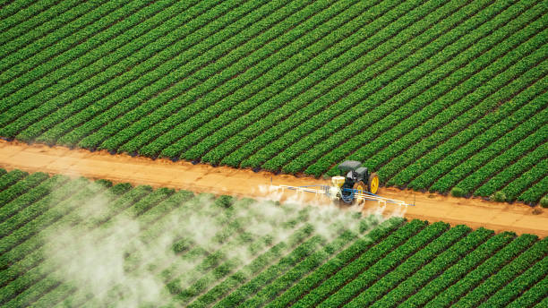 Pest Prevention Services in La Vernia, TX